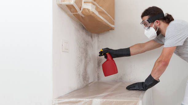 Attic Mold Remediation treatment on roof deck in Monkton