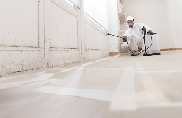 Black mold remediation team in Monkton